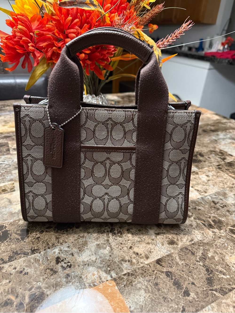 Coach Brown Signature Mini Satchel with Dark Brown Trim